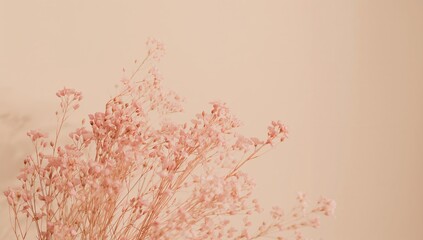 Aesthetic botanical composition with dry plant stems and soft colors.