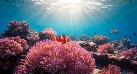 Colorful Coral Reef Underwater Scene with Clownfish and Sunlight Rays