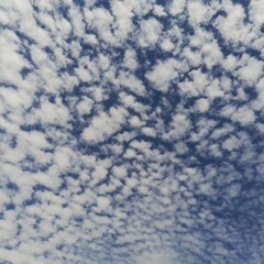 High altitude altocumulus clouds on a clear blue sky background.