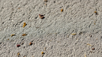 Macro Texture of Recycled Handmade Paper with Organic Fibers