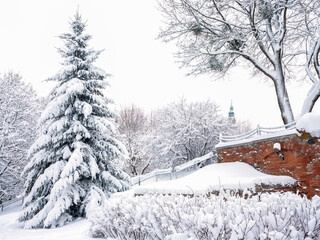 Zima w Olsztynie. Stare Miasto.  © Janusz Lipiński