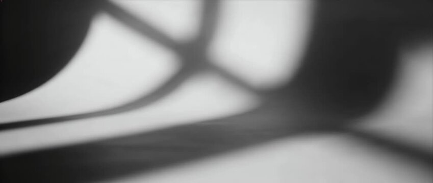 Abstract shadow loop pattern vdo art background line shape blur texture minimal grayscale design mood concept light form soft focus contrast monotone surface monochrome create calm loop mood