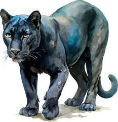 Black Panther Animal Watercolor Vector Illustration