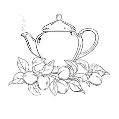 Apricot Tea in Teapot aroma beverage Outline Illustration. Vector isolated for Design and Decoration for Cafeteria, Posters, Banners, Cards.