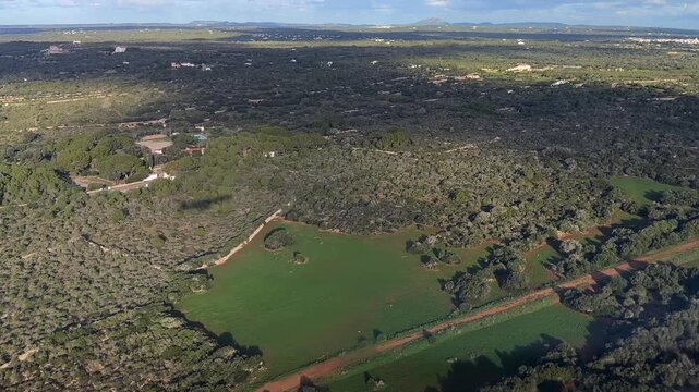 left side aerial view of the shadow of a jet airplane during the final approach to Menorca airport, over a flat and rural ladscape.