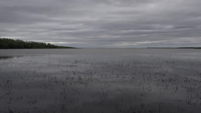 A beautiful, vast expanse of water with a few twigs floating in it and some trees on the right, all beneath a grayish sky.