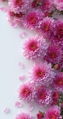 Pink Chrysanthemum Floral Arrangement