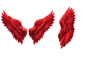 Bright red large feather wings with several views and angles. Concepts of fantasy, legend, or freedom. Transparent background