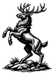 Hand drawn line art illustration of a stag depicting a majestic rampant pose for classic heraldry design