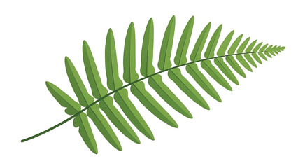 A simple, green fern leaf illustration on a white background. Features a detailed, artistic depiction of the plant's texture. The leaf points diagonally © Kunci