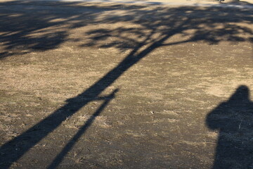 Tree shadows on the ground with quiet empty background