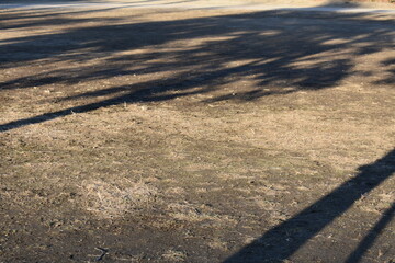 Tree shadows on the ground with quiet empty background