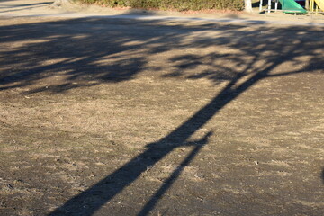 Tree shadows on the ground with quiet empty background