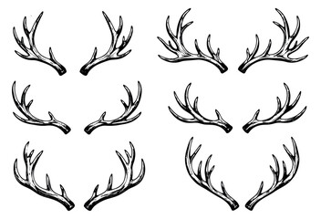 Hand drawn line art deer antlers set featuring multiple rustic designs for various design elements