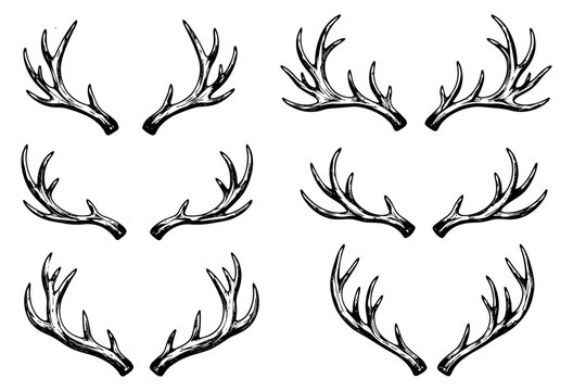 Hand drawn line art deer antlers set featuring multiple rustic designs for various design elements