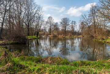 Slanaky oxbow lake in CHKO Poodri in Czech republic