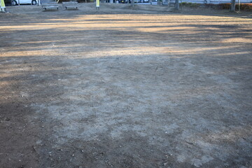 Long Tree Shadows on Empty Park Ground with Natural Copy Space