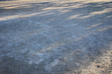 Long Tree Shadows on Empty Park Ground with Natural Copy Space