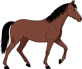 Realistic Bay Horse Character Walking in Profile, Detailed Chestnut Brown Equestrian Animal Vector Illustration for Nature and Farm.