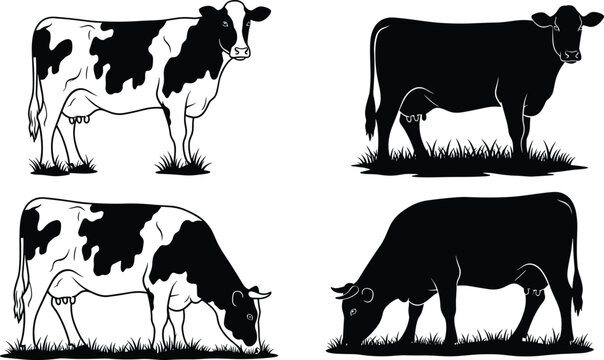 Cow,silhouette,black,white,dairy,cattle,farm,animal,livestock,agriculture,grazing,standing,pasture,milk,rural,nature,vector,illustration,design,concept