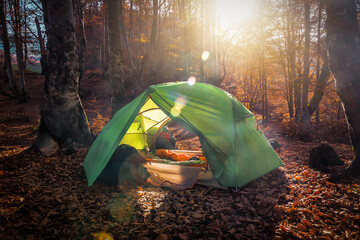 Professional tourist tent in misty autumn forest under sunlight