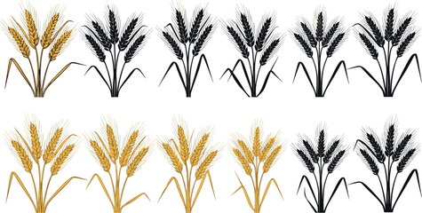 Seamless Pattern of Golden and Black Wheat or Barley Ears, Perfect for a Farm, Bakery, or Agricultural Border Design Vector Illustration.