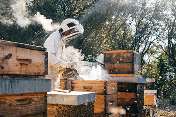 Beekeeper Working With Hives While Surrounded by Busy Bees in a Sunny Location