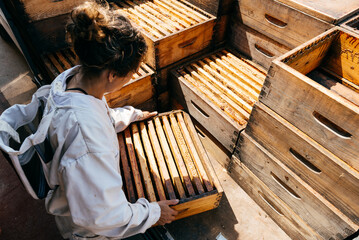 Female BeekeeperTransporting Ecological Honey Harvest at a Sustainable Farm in Autumn