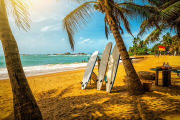 Three surfboards on the tropical beach in the shadow of palm trees