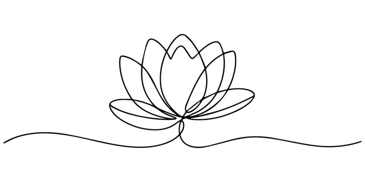 Continuous line drawing of lotus flower .one line  vector illustration  with out background, Continuous one line drawing of a lotus flower with many petals. Drawing of a floral plant with editable pro