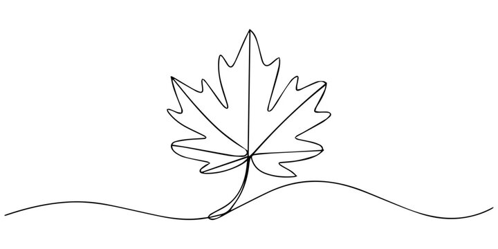 Autumn leaf continuous one line drawing,  Autumn leaf continuous one, A single line drawing of an maple leaf. Continuous line thanksgiving icon, autumn leaves illustration vector isolated beautiful.