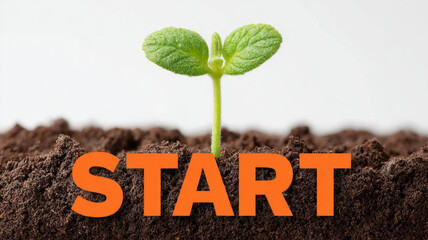 Sprout growing in soil with 'START' text overlay.