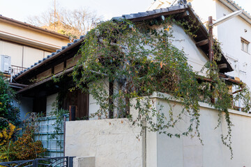 弦（つる）に飲み込まれた古い空き家