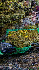 fishing nets and floats