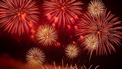 Vibrant fireworks exploding in the night sky