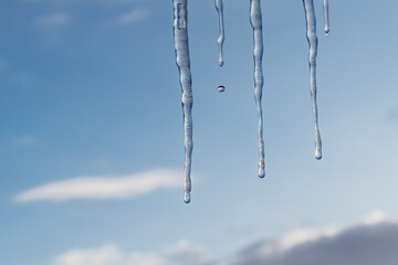 Melting icicles with falling water drop against blue winter sky