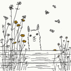 Obraz premium Playful Llama Surrounded by Colorful Wildflowers