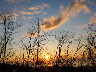 神戸渦森台展望公演からの夜明け