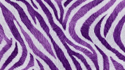 A vibrant purple and white zebra fur texture creates a striking wavy stripes pattern. This exotic animal background offers a modern design.
