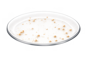 White plate showing scattered bread crumbs and food debris after a meal, illustrating finished eating and leftovers