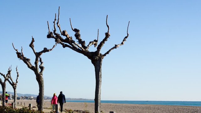 People Exercising by the Beach in Winter on a Sunny Day