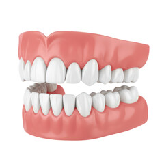 Obraz premium Detailed Cross Section Illustration Of Human Tooth Anatomy And Roots