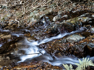六甲山の登山道、アイスロードの渓流と川の流れ