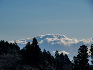 六甲山への登山道、アイスロードからの眺め