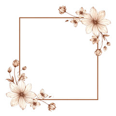 Obraz premium Elegant refined thin floral frame illustration on Transparent Background