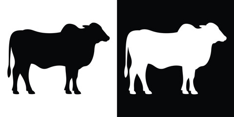 Obraz premium Brahman cow silhouette, zebu cow silhouette vector