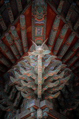 Dragon eating fish, Temple building