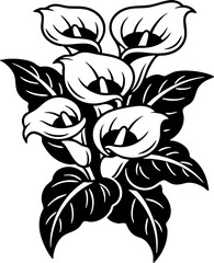 Obraz premium Black and White Calla Lily Floral Bouquet Illustration Design