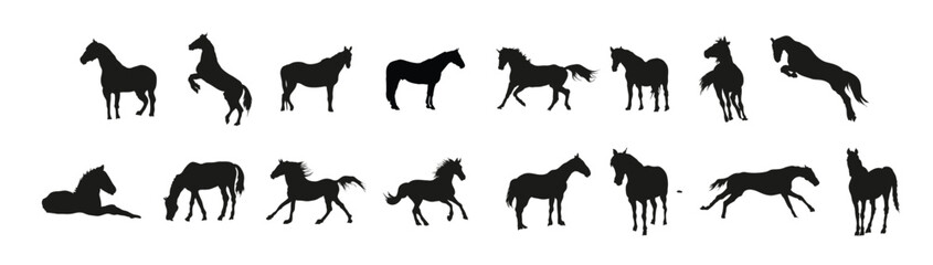 Fototapeta premium a vector collection of horse silhouettes for artwork