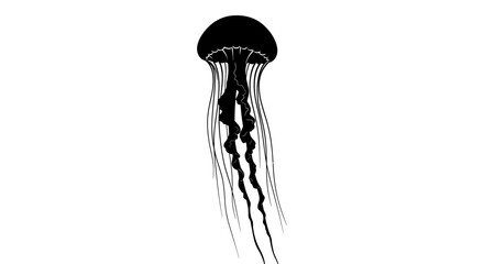 Striking jellyfish silhouette art displaying marine life beauty in black and white © Alis